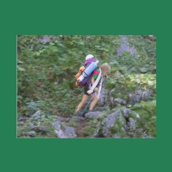 2012-08-09_01Fischunkel-Alm_Wasseralm (309)28WF-R-RS.JPG